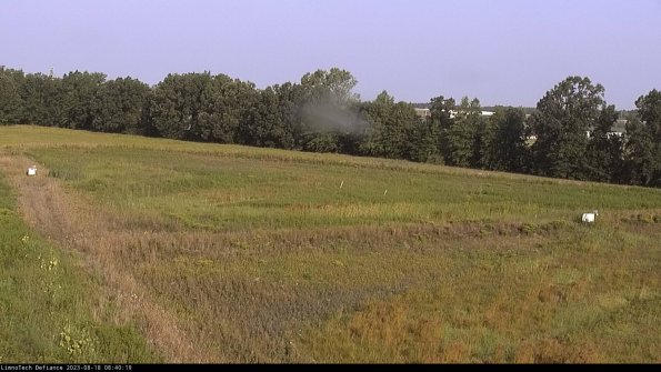 Cell 2_23-08-18_08-40-19-94