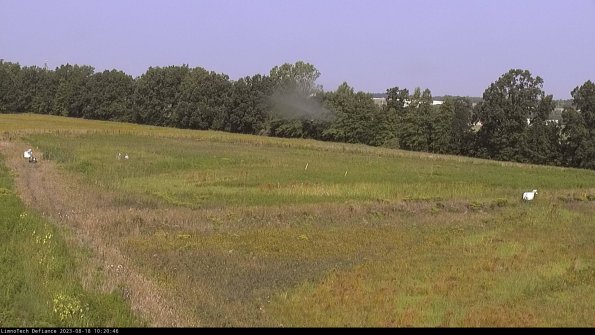 Cell 2_23-08-18_10-20-46-89