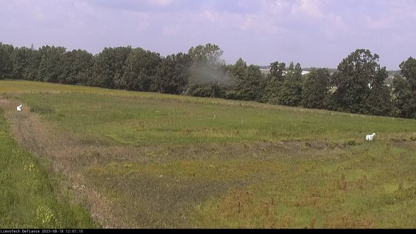 Cell 2_23-08-18_12-01-15-89