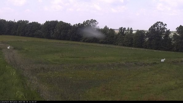 Cell 2_23-08-18_12-34-48-01