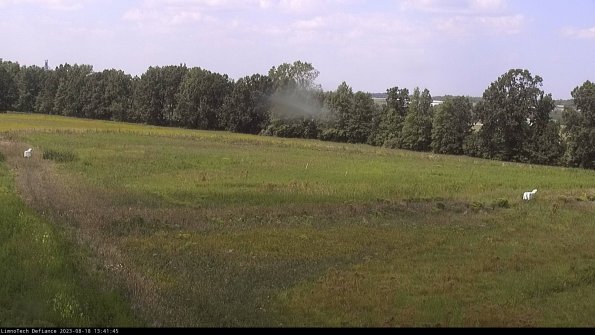 Cell 2_23-08-18_13-41-45-92