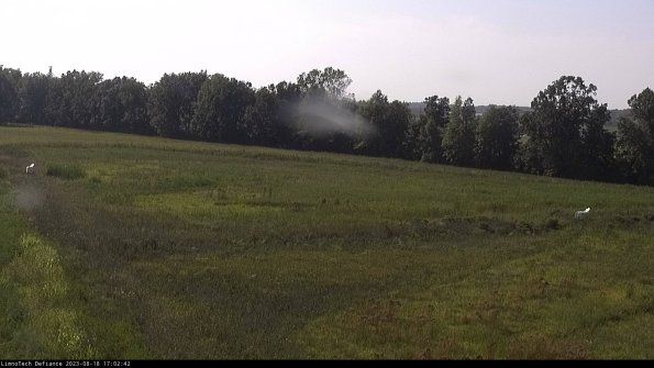 Cell 2_23-08-18_17-02-42-94