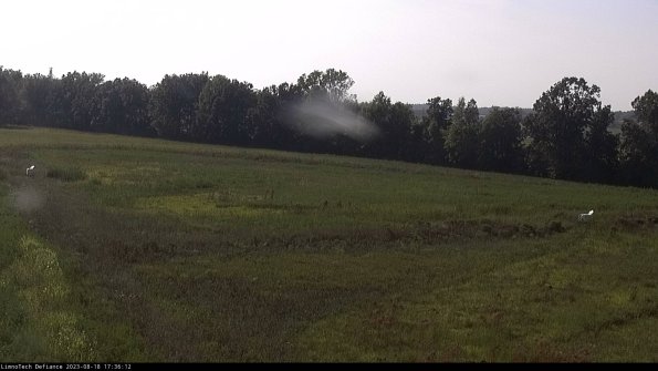 Cell 2_23-08-18_17-36-12-89