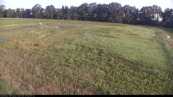 Cell 3_23-08-18_08-07-19-15