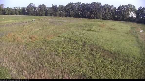 Cell 3_23-08-18_08-40-47-86