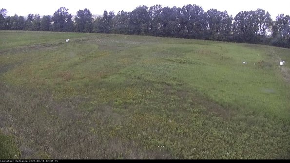 Cell 3_23-08-18_12-35-15-87