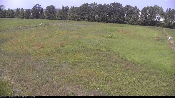 Cell 3_23-08-18_13-42-13-88