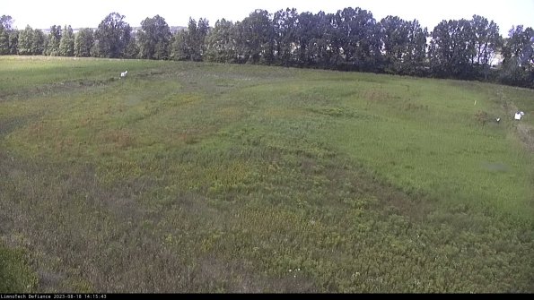 Cell 3_23-08-18_14-15-43-87