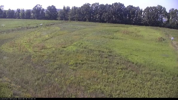 Cell 3_23-08-18_17-03-10-86