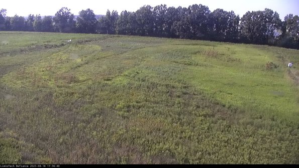 Cell 3_23-08-18_17-36-40-89