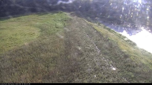 Cell 4 to Basin_23-08-18_08-41-45-89