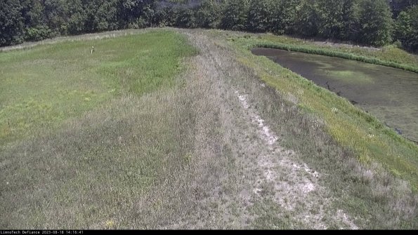 Cell 4 to Basin_23-08-18_14-16-41-89