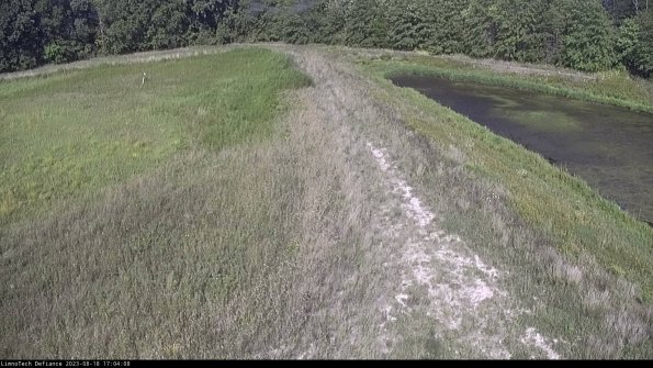 Cell 4 to Basin_23-08-18_17-04-08-89