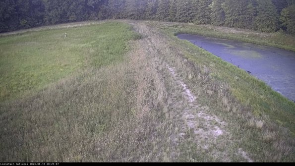 Cell 4 to Basin_23-08-18_20-25-07-88