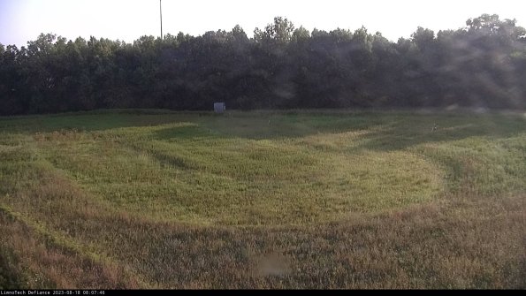 Cell 4_23-08-18_08-07-46-87