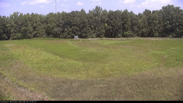 Cell 4_23-08-18_13-42-41-87