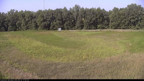 Cell 4_23-08-18_17-03-38-86