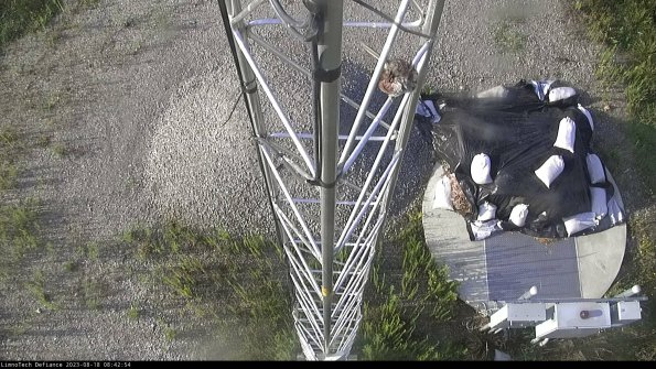 Hatch_23-08-18_08-42-54-86