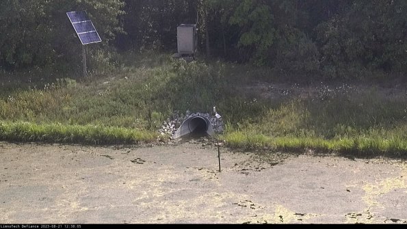 Basin Inflow_23-08-21_12-38-05-88