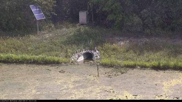 Basin Inflow_23-08-21_13-11-34-03