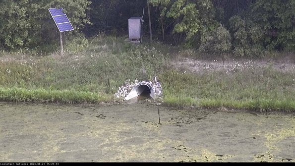 Basin Inflow_23-08-21_15-25-33-87