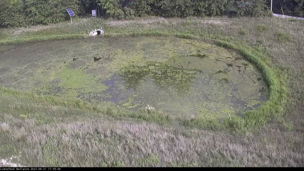 Basin Right_23-08-21_17-39-46-91