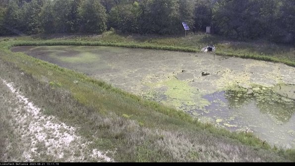 Basin_23-08-21_13-11-19-95