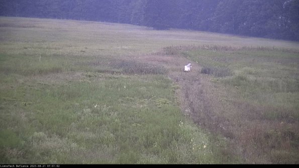 Cell 1 to 2_23-08-21_07-01-02-85