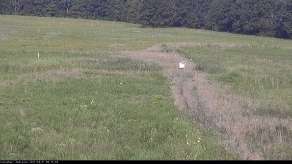 Cell 1 to 2_23-08-21_09-15-02-87