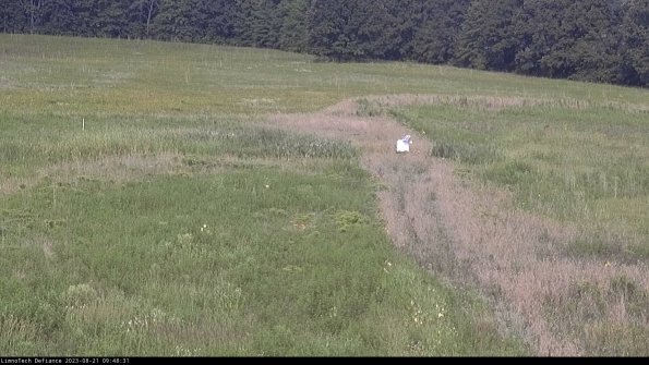 Cell 1 to 2_23-08-21_09-48-31-88