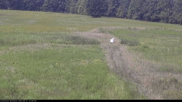 Cell 1 to 2_23-08-21_13-09-29-87