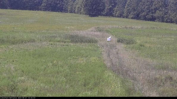 Cell 1 to 2_23-08-21_13-42-57-89