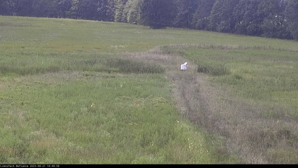 Cell 1 to 2_23-08-21_14-49-56-89