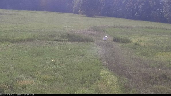 Cell 1 to 2_23-08-21_17-37-25-87