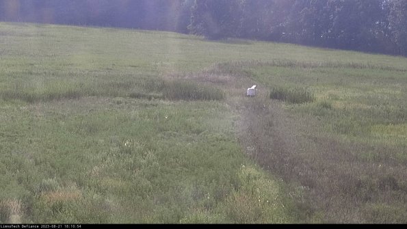 Cell 1 to 2_23-08-21_18-10-54-89