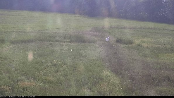 Cell 1 to 2_23-08-21_18-44-24-87