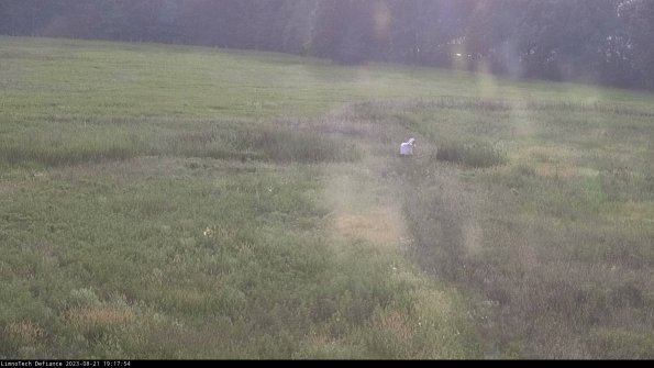 Cell 1 to 2_23-08-21_19-17-54-89