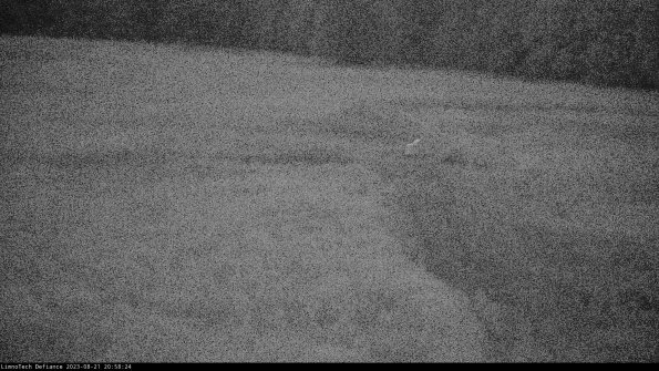 Cell 1 to 2_23-08-21_20-58-24-85