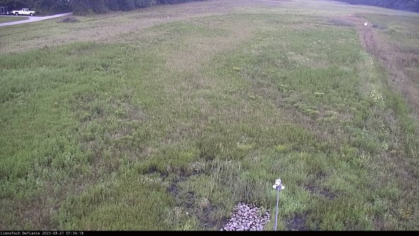 Cell 1_23-08-21_07-34-18-86