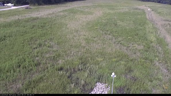 Cell 1_23-08-21_09-48-17-87