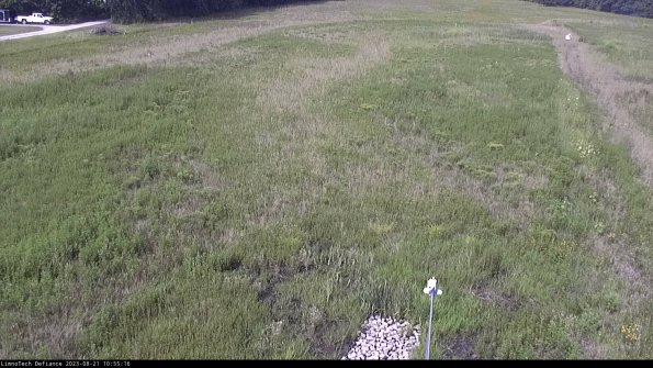 Cell 1_23-08-21_10-55-16-88