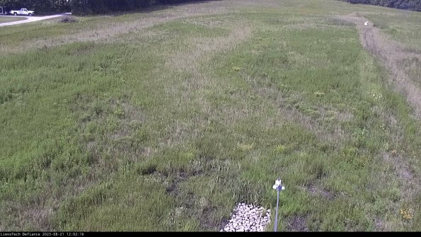 Cell 1_23-08-21_12-02-16-88