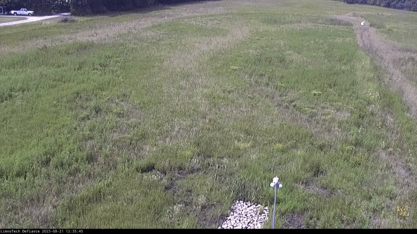 Cell 1_23-08-21_12-35-45-87