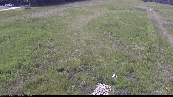 Cell 1_23-08-21_13-09-15-89