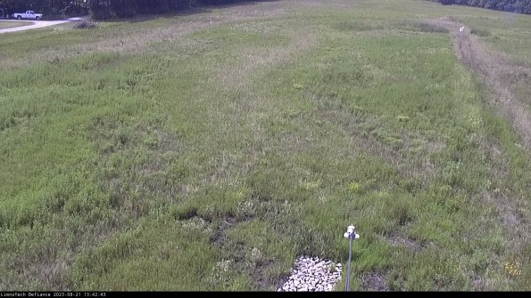 Cell 1_23-08-21_13-42-43-87