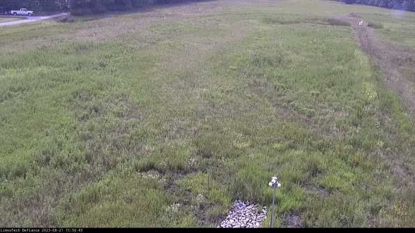 Cell 1_23-08-21_15-56-43-88