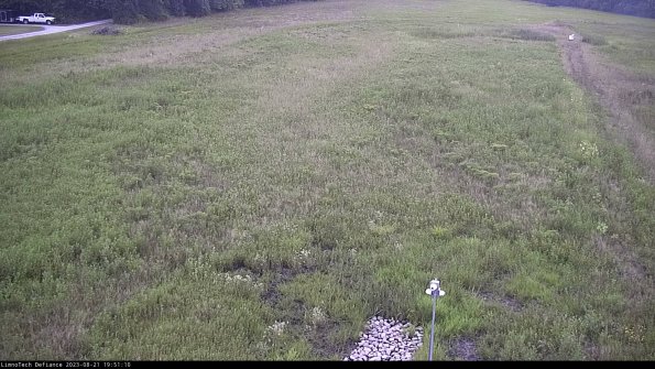 Cell 1_23-08-21_19-51-10-87