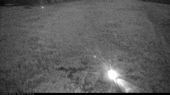 Cell 1_23-08-21_20-58-10-87