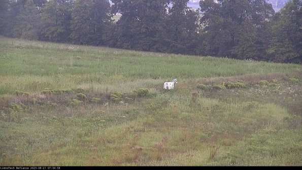 Cell 2 to 3_23-08-21_07-34-59-06