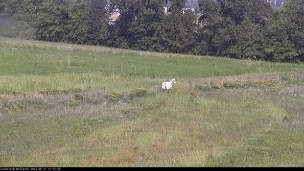 Cell 2 to 3_23-08-21_10-55-56-99